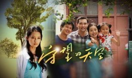 电视剧守望的天空在线观看,情感与命运的交织之旅